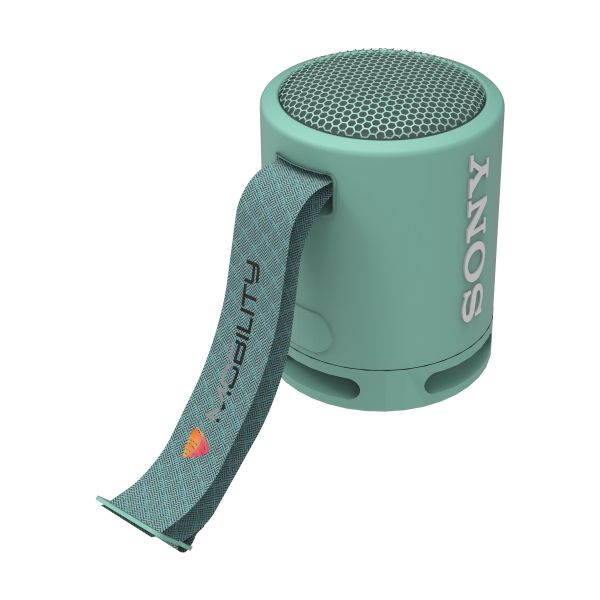 Blue sony speaker on sale